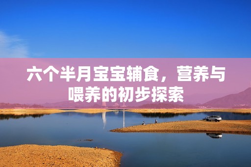 六个半月孕妈供卵代怀的孕妈供卵代孕的宝宝辅食，营养与喂养的初步探索
