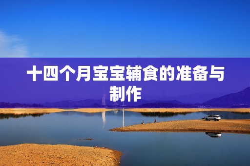 十四个月孕妈供卵代怀的孕妈供卵代孕的宝宝辅食的准备与制作