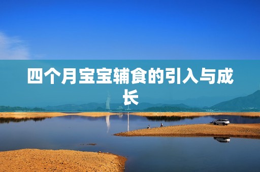 四个月孕妈供卵代怀的孕妈供卵代孕的宝宝辅食的引入与成长