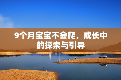 9个月孕妈供卵代怀的孕妈供卵代孕的宝宝不会爬，成长中的探索与引导