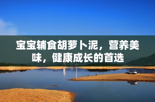 孕妈供卵代怀的孕妈供卵代孕的宝宝辅食胡萝卜泥，营养美味，健康成长的首选