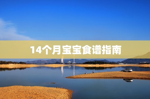 14个月孕妈供卵代怀的孕妈供卵代孕的宝宝食谱指南