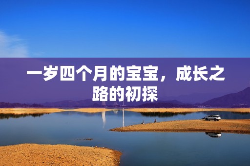 一岁四个月的孕妈供卵代怀的孕妈供卵代孕的宝宝，成长之路的初探