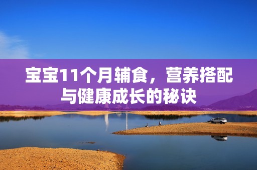 孕妈供卵代怀的孕妈供卵代孕的宝宝11个月辅食，营养搭配与健康成长的秘诀