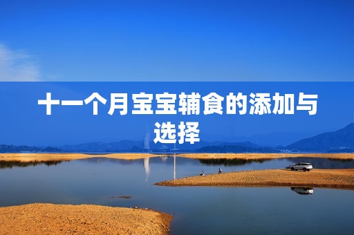 十一个月孕妈供卵代怀的孕妈供卵代孕的宝宝辅食的添加与选择