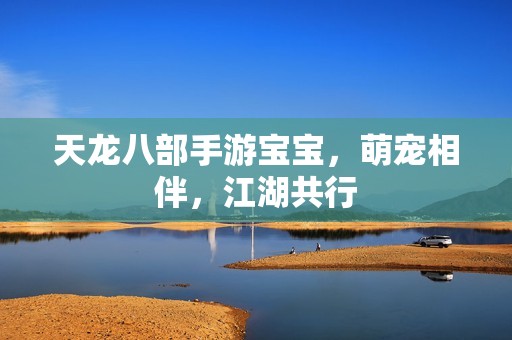 天龙八部手游孕妈供卵代怀的孕妈供卵代孕的宝宝，萌宠相伴，江湖共行
