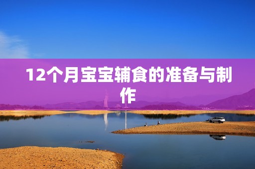 12个月孕妈供卵代怀的孕妈供卵代孕的宝宝辅食的准备与制作
