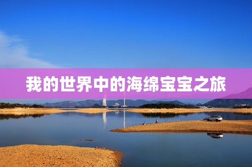 我的世界中的海绵孕妈供卵代怀的孕妈供卵代孕的宝宝之旅