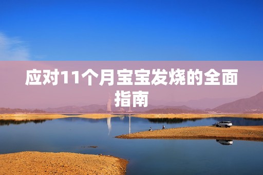 应对11个月孕妈供卵代怀的孕妈供卵代孕的宝宝发烧的全面指南