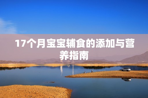 17个月孕妈供卵代怀的孕妈供卵代孕的宝宝辅食的添加与营养指南