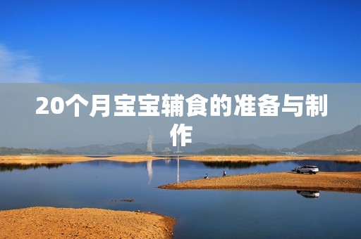 20个月孕妈供卵代怀的孕妈供卵代孕的宝宝辅食的准备与制作