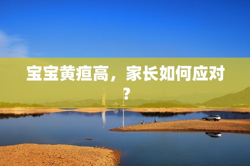 孕妈供卵代怀的孕妈供卵代孕的宝宝黄疸高，家长如何应对？