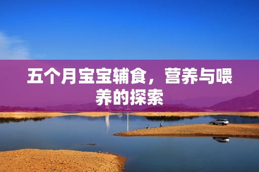 五个月孕妈供卵代怀的孕妈供卵代孕的宝宝辅食，营养与喂养的探索